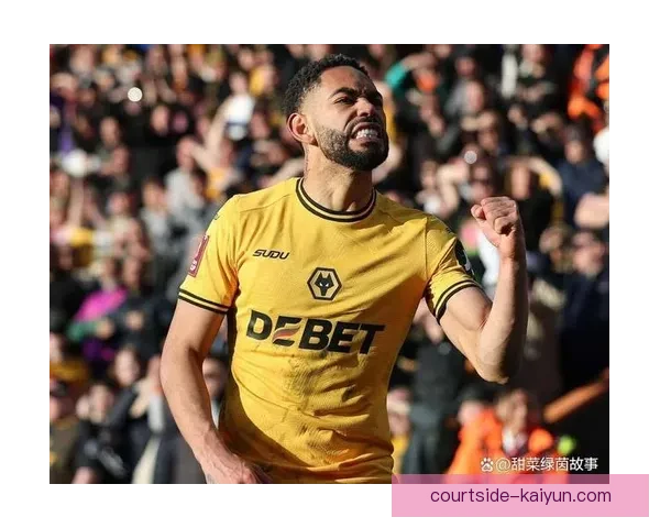 狼队转会策略面临挑战，未来引援方向备受关注